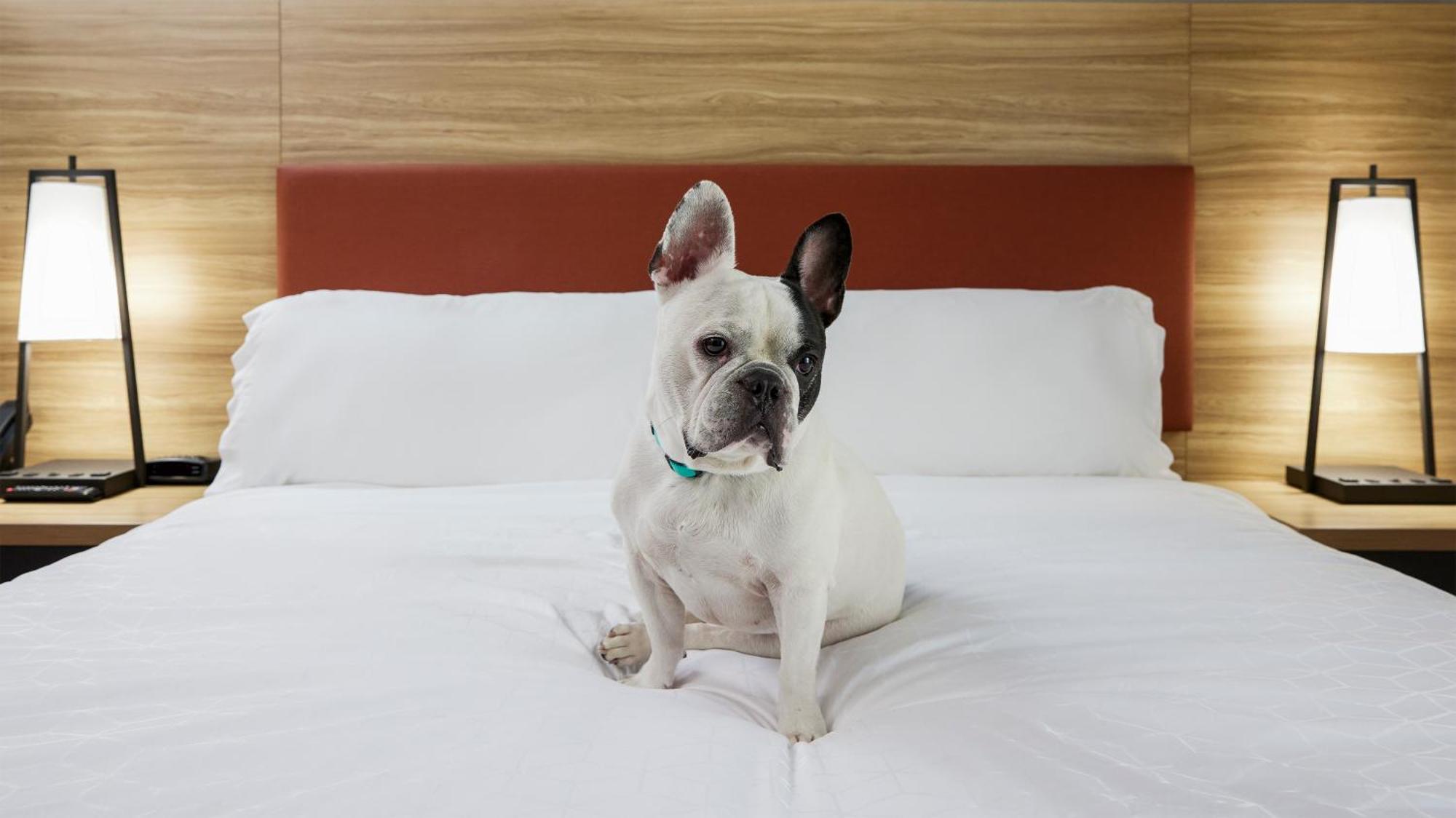 Candlewood Suites Junction City - Ft. Riley By Ihg Bagian luar foto